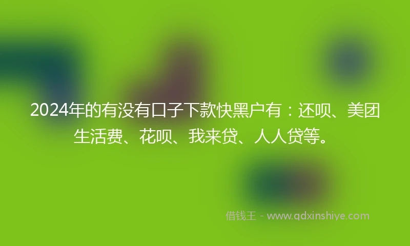 2024年的有没有口子下款快黑户有：还呗、美团生活费、花呗、我来贷、人人贷等。
