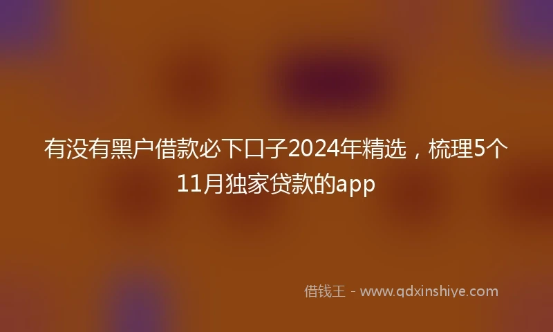 有没有黑户借款必下口子2024年精选，梳理5个11月独家贷款的app