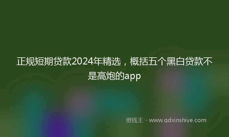 正规短期贷款2024年精选，概括五个黑白贷款不是高炮的app