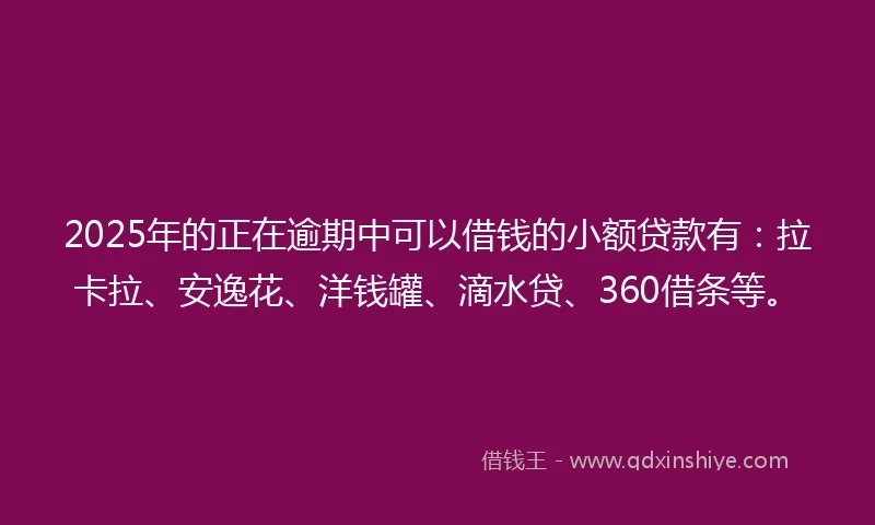 2025年的正在逾期中可以借钱的小额贷款有：拉卡拉、安逸花、洋钱罐、滴水贷、360借条等。
