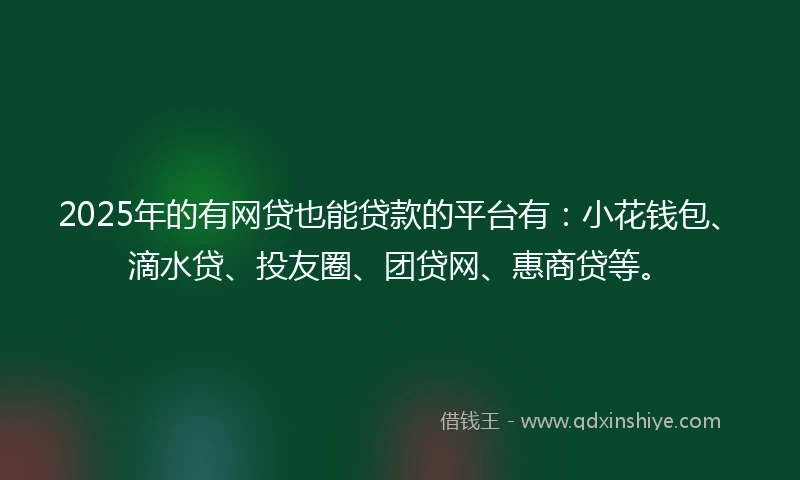2025年的有网贷也能贷款的平台有：小花钱包、滴水贷、投友圈、团贷网、惠商贷等。