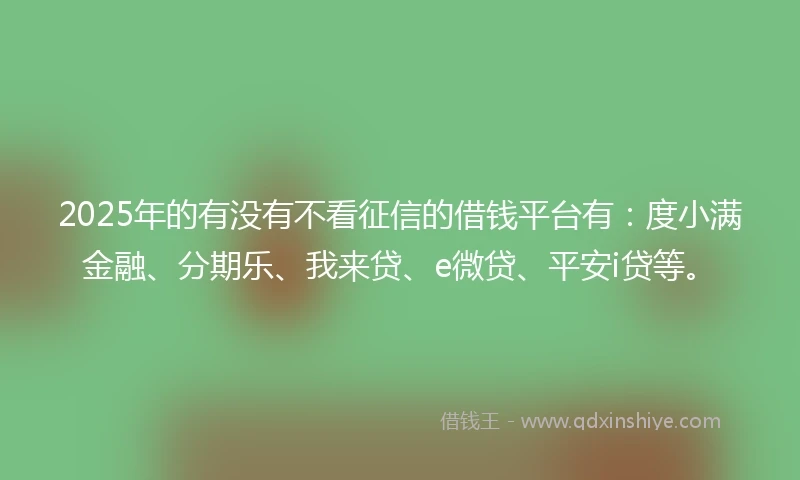 2025年的有没有不看征信的借钱平台有：度小满金融、分期乐、我来贷、e微贷、平安i贷等。