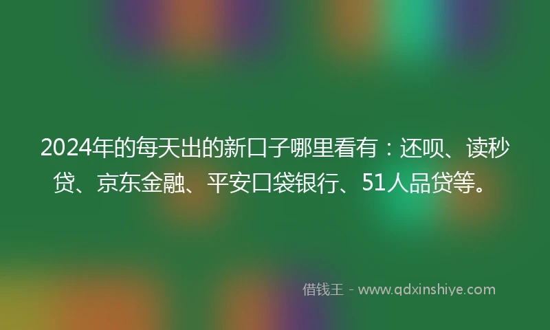 2024年的每天出的新口子哪里看有：还呗、读秒贷、京东金融、平安口袋银行、51人品贷等。