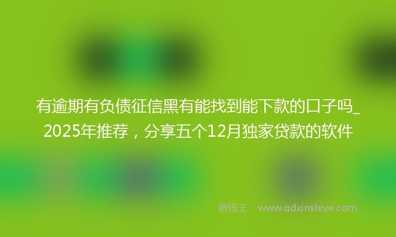 有逾期有负债征信黑有能找到能下款的口子吗_2025年推荐，分享五个12月独家贷款的软件
