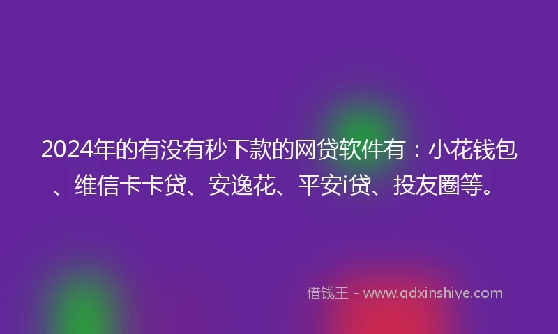 2024年的有没有秒下款的网贷软件有：小花钱包、维信卡卡贷、安逸花、平安i贷、投友圈等。