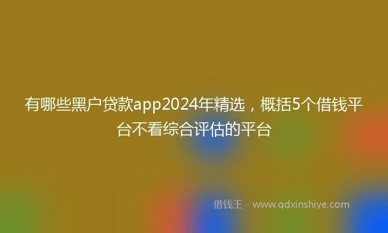 有哪些黑户贷款app2024年精选，概括5个借钱平台不看综合评估的平台