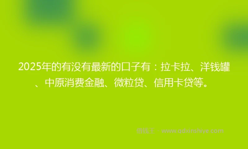 2025年的有没有最新的口子有：拉卡拉、洋钱罐、中原消费金融、微粒贷、信用卡贷等。