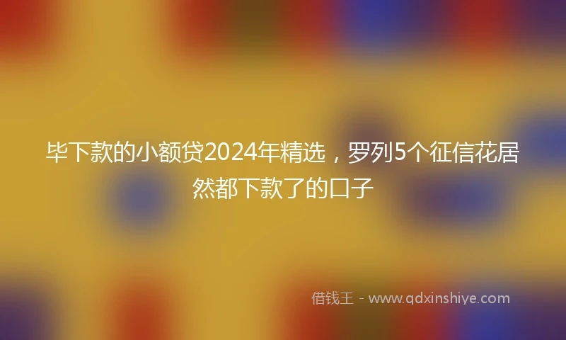 毕下款的小额贷2024年精选，罗列5个征信花居然都下款了的口子
