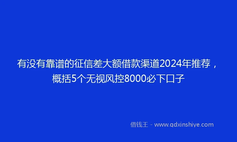 有没有靠谱的征信差大额借款渠道2024年推荐，概括5个无视风控8000必下口子