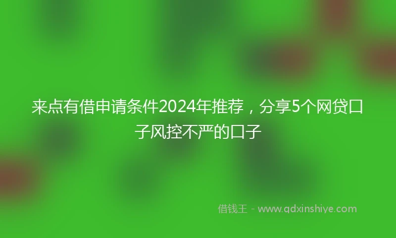 来点有借申请条件2024年推荐，分享5个网贷口子风控不严的口子