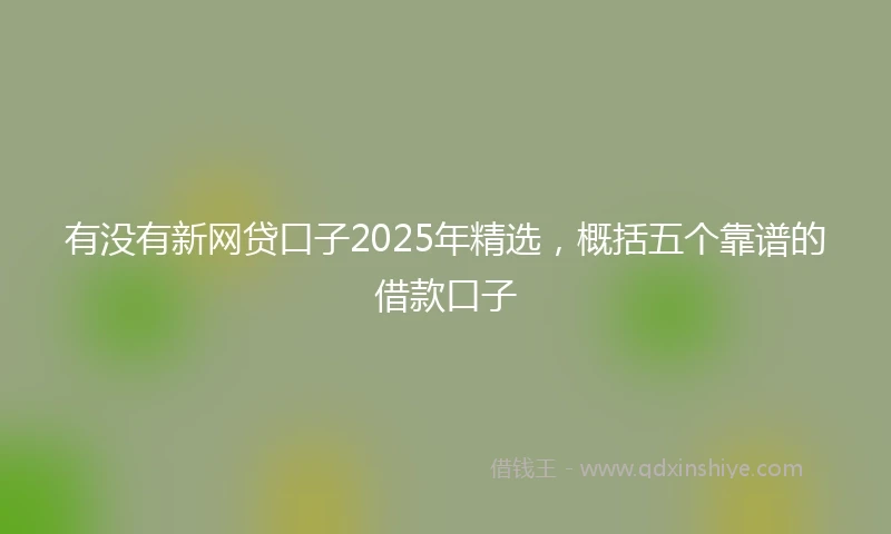 有没有新网贷口子2025年精选，概括五个靠谱的借款口子