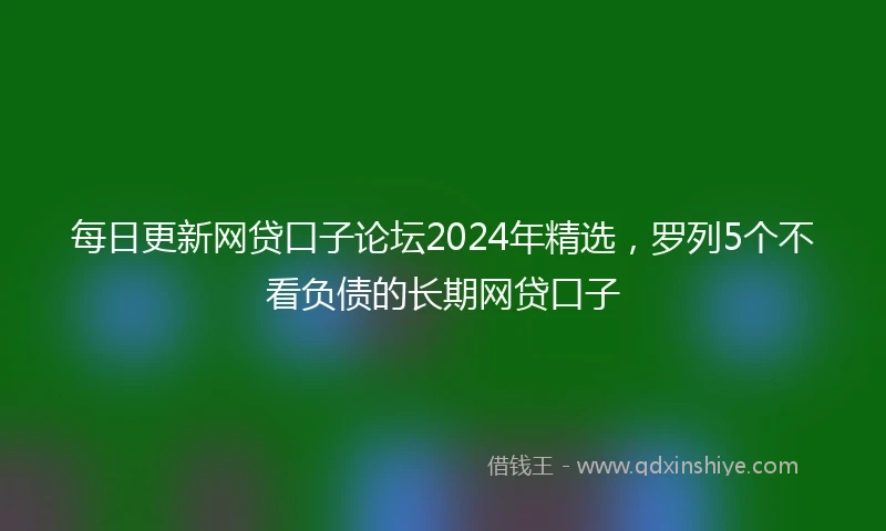 每日更新网贷口子论坛2024年精选，罗列5个不看负债的长期网贷口子