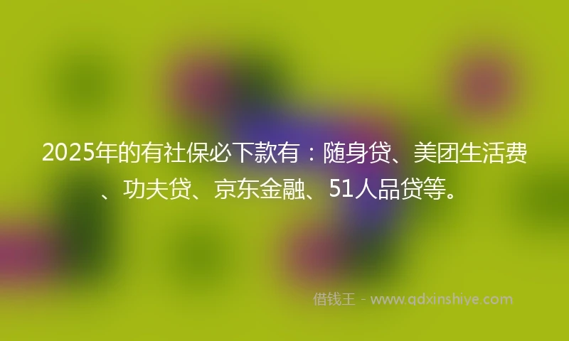 2025年的有社保必下款有：随身贷、美团生活费、功夫贷、京东金融、51人品贷等。