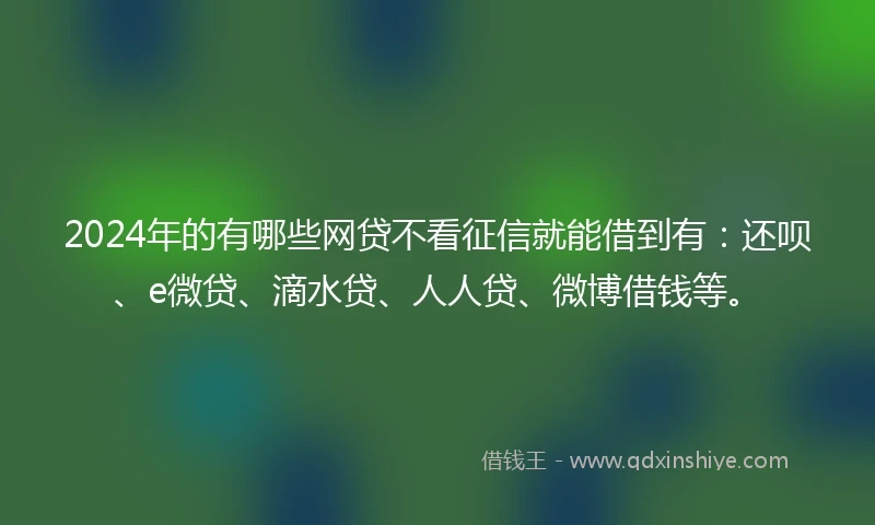 2024年的有哪些网贷不看征信就能借到有：还呗、e微贷、滴水贷、人人贷、微博借钱等。
