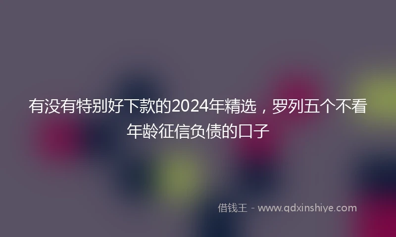 有没有特别好下款的2024年精选，罗列五个不看年龄征信负债的口子