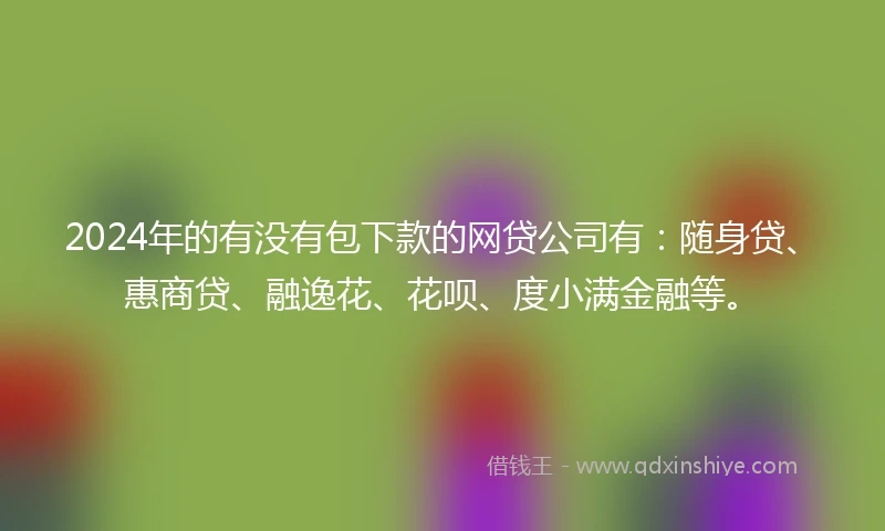 2024年的有没有包下款的网贷公司有：随身贷、惠商贷、融逸花、花呗、度小满金融等。