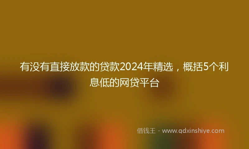 有没有直接放款的贷款2024年精选，概括5个利息低的网贷平台