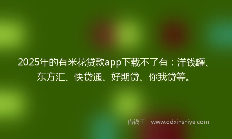 2025年的有米花贷款app下载不了有：洋钱罐、东方汇、快贷通、好期贷、你我贷等。