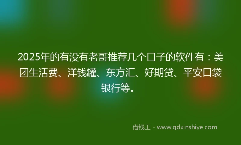 2025年的有没有老哥推荐几个口子的软件有：美团生活费、洋钱罐、东方汇、好期贷、平安口袋银行等。