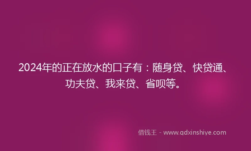 2024年的正在放水的口子有：随身贷、快贷通、功夫贷、我来贷、省呗等。