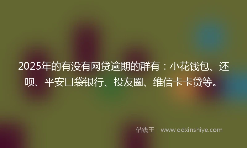 2025年的有没有网贷逾期的群有：小花钱包、还呗、平安口袋银行、投友圈、维信卡卡贷等。