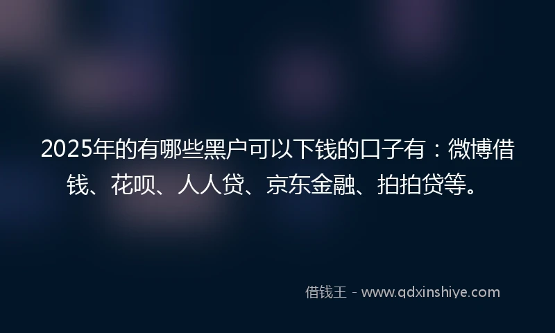 2025年的有哪些黑户可以下钱的口子有：微博借钱、花呗、人人贷、京东金融、拍拍贷等。