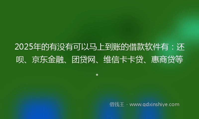 2025年的有没有可以马上到账的借款软件有：还呗、京东金融、团贷网、维信卡卡贷、惠商贷等。