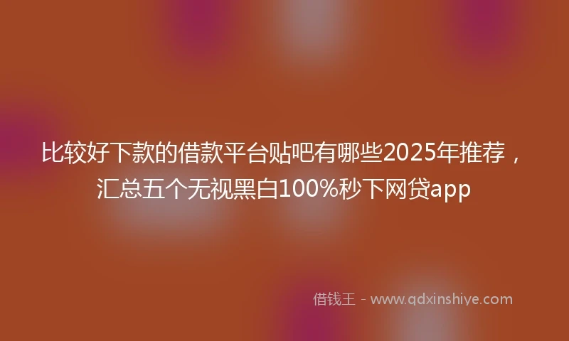 比较好下款的借款平台贴吧有哪些2025年推荐，汇总五个无视黑白100%秒下网贷app