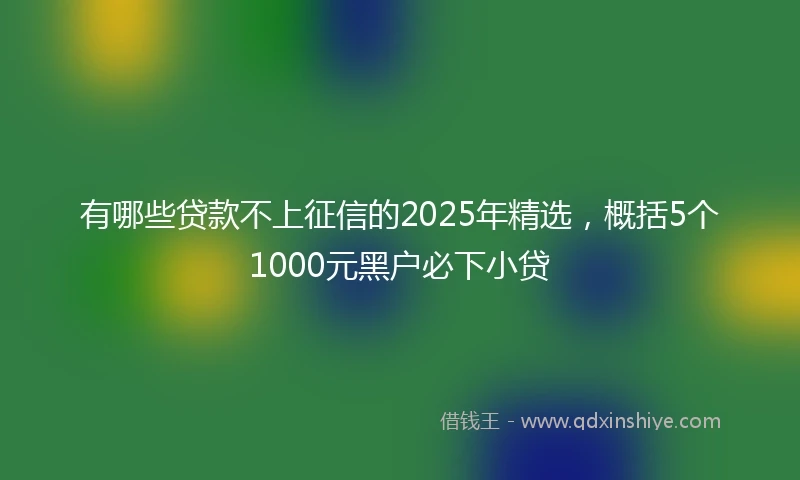 有哪些贷款不上征信的2025年精选，概括5个1000元黑户必下小贷