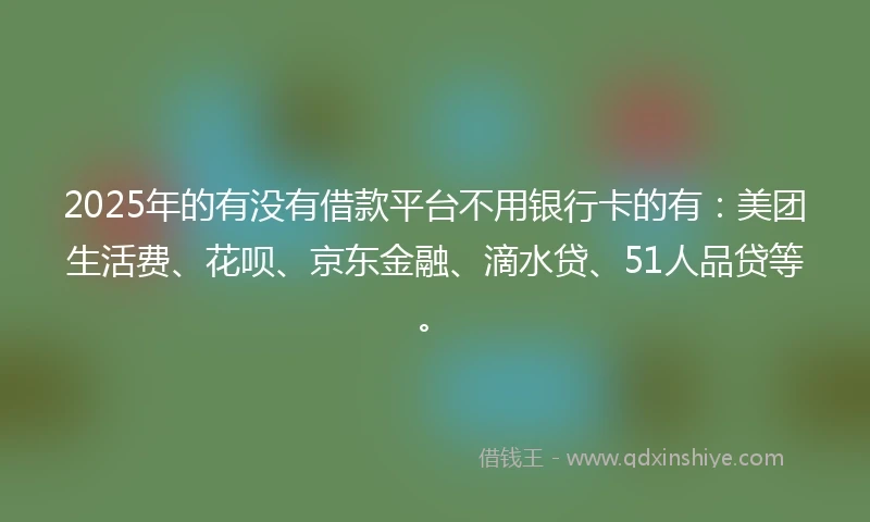 2025年的有没有借款平台不用银行卡的有：美团生活费、花呗、京东金融、滴水贷、51人品贷等。