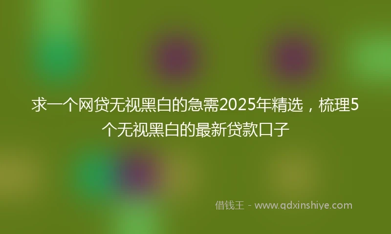 求一个网贷无视黑白的急需2025年精选，梳理5个无视黑白的最新贷款口子