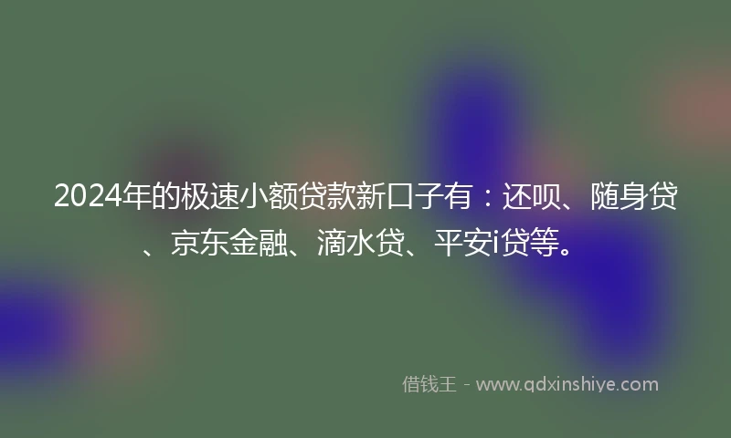 2024年的极速小额贷款新口子有：还呗、随身贷、京东金融、滴水贷、平安i贷等。