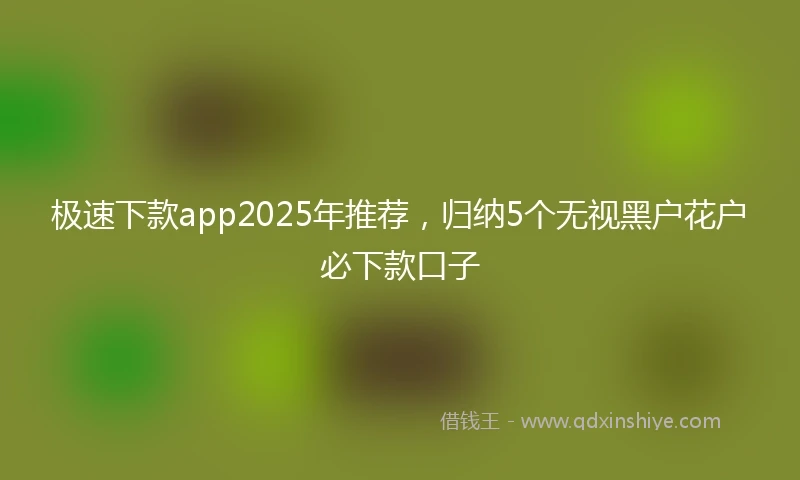极速下款app2025年推荐，归纳5个无视黑户花户必下款口子