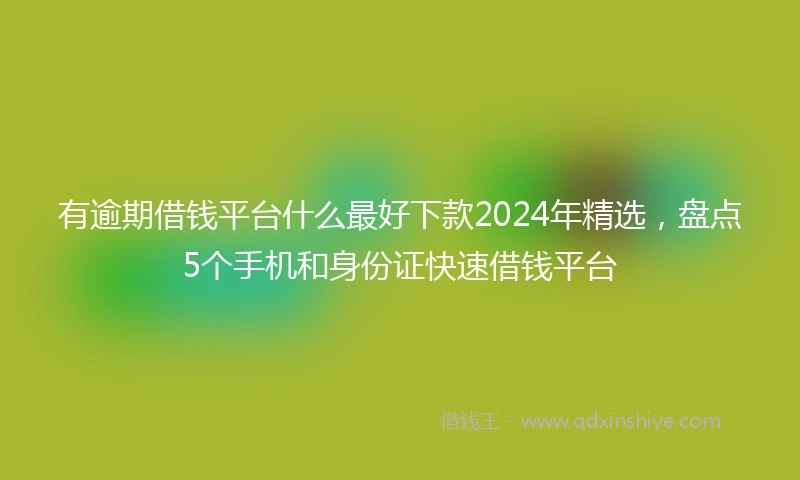 有逾期借钱平台什么最好下款2024年精选，盘点5个手机和身份证快速借钱平台