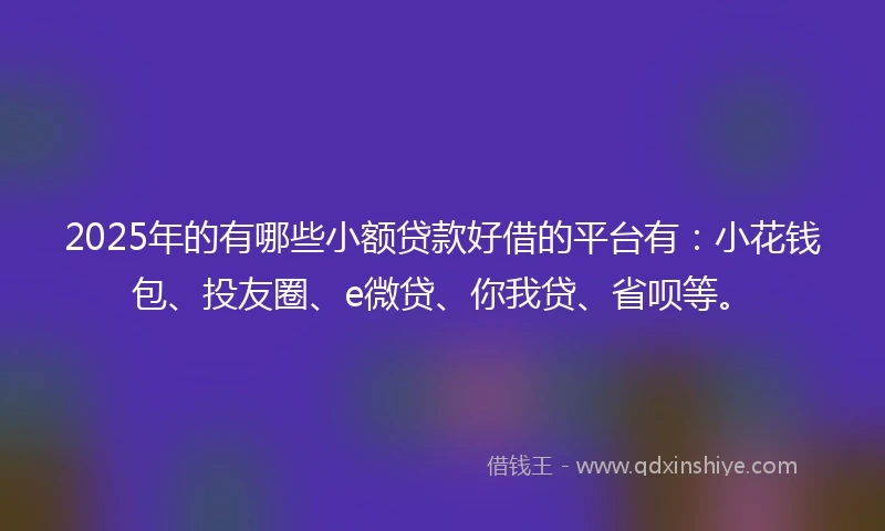 2025年的有哪些小额贷款好借的平台有：小花钱包、投友圈、e微贷、你我贷、省呗等。