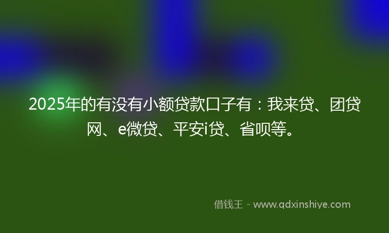 2025年的有没有小额贷款口子有：我来贷、团贷网、e微贷、平安i贷、省呗等。
