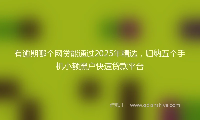 有逾期哪个网贷能通过2025年精选，归纳五个手机小额黑户快速贷款平台