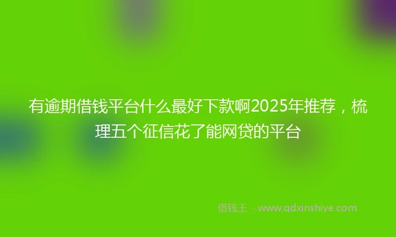 有逾期借钱平台什么最好下款啊2025年推荐，梳理五个征信花了能网贷的平台
