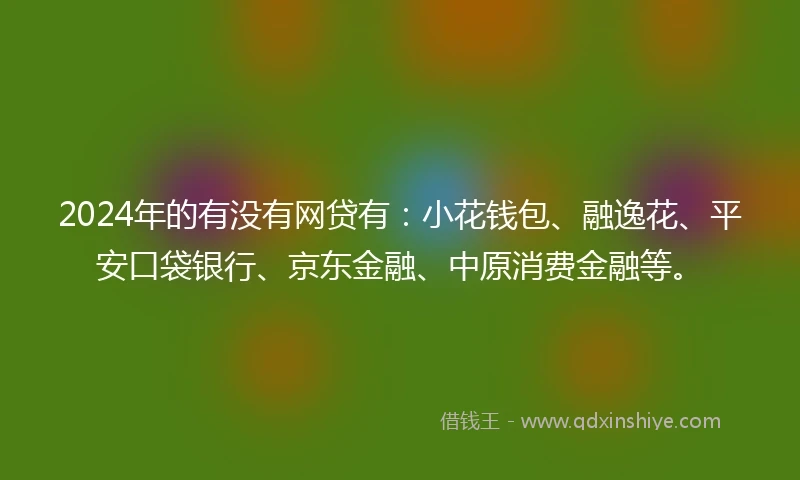 2024年的有没有网贷有：小花钱包、融逸花、平安口袋银行、京东金融、中原消费金融等。
