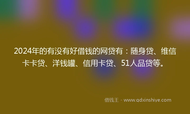 2024年的有没有好借钱的网贷有：随身贷、维信卡卡贷、洋钱罐、信用卡贷、51人品贷等。