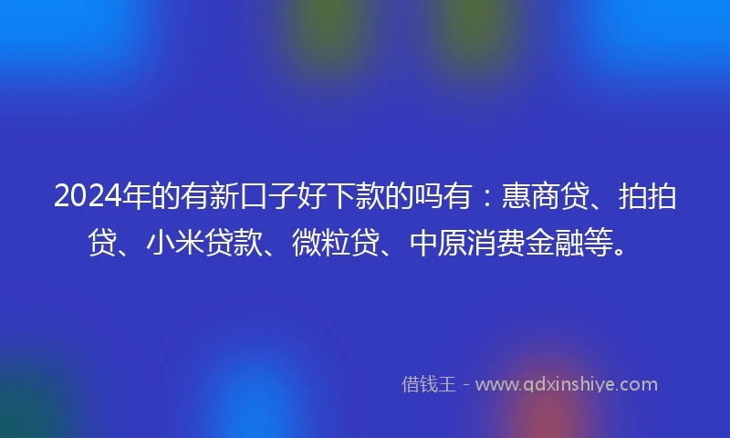 2024年的有新口子好下款的吗有：惠商贷、拍拍贷、小米贷款、微粒贷、中原消费金融等。