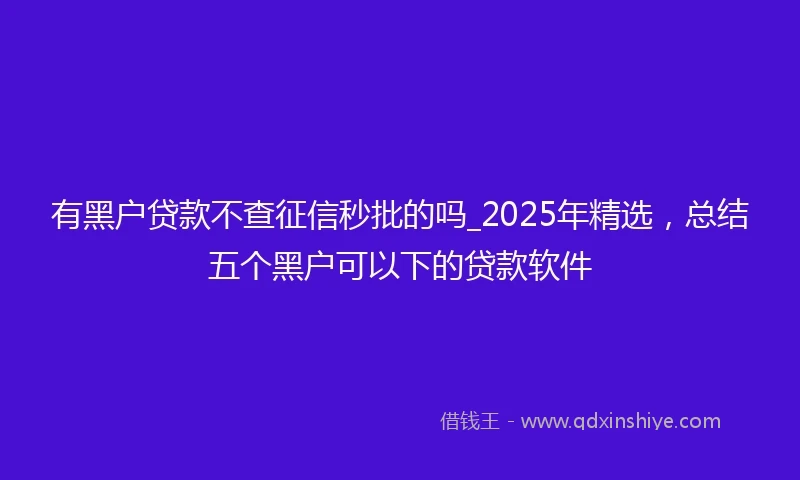 有黑户贷款不查征信秒批的吗_2025年精选，总结五个黑户可以下的贷款软件