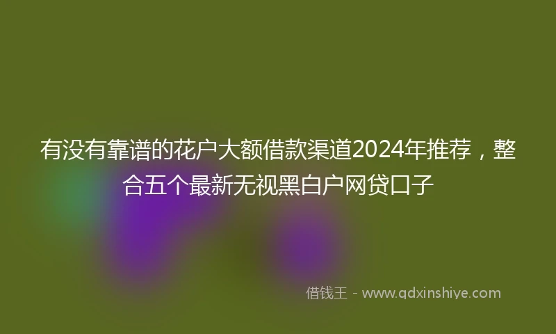 有没有靠谱的花户大额借款渠道2024年推荐，整合五个最新无视黑白户网贷口子