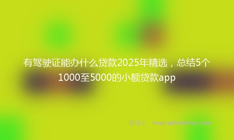 有驾驶证能办什么贷款2025年精选，总结5个1000至5000的小额贷款app