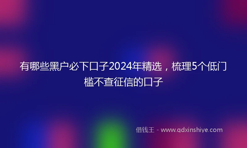 有哪些黑户必下口子2024年精选，梳理5个低门槛不查征信的口子