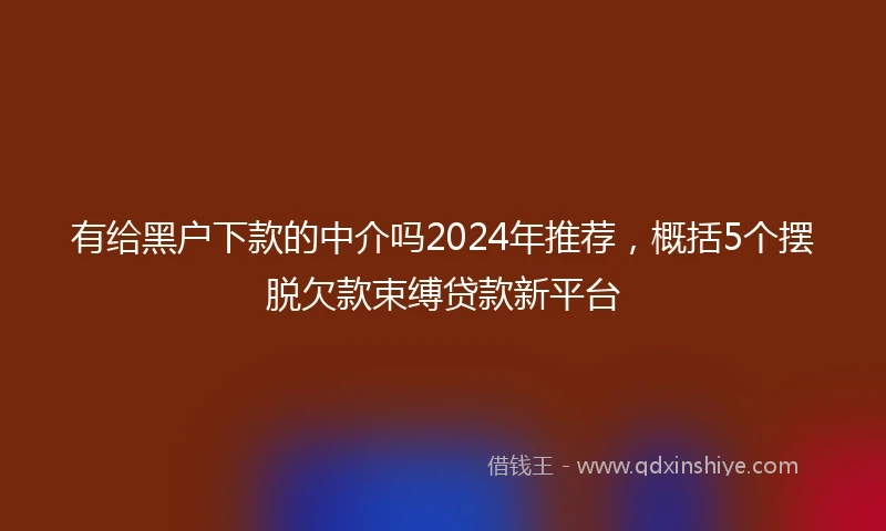 有给黑户下款的中介吗2024年推荐，概括5个摆脱欠款束缚贷款新平台