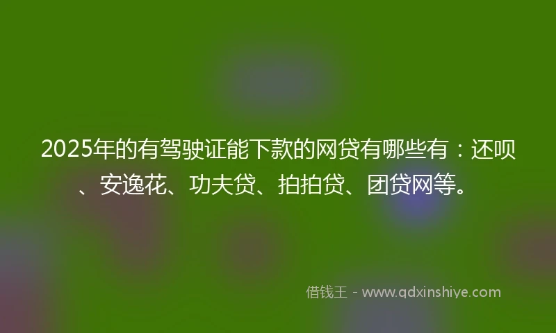2025年的有驾驶证能下款的网贷有哪些有：还呗、安逸花、功夫贷、拍拍贷、团贷网等。