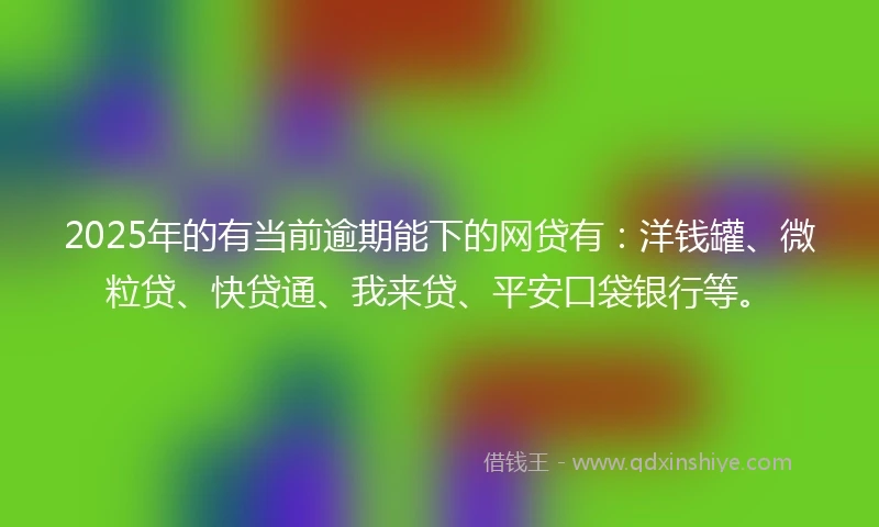 2025年的有当前逾期能下的网贷有：洋钱罐、微粒贷、快贷通、我来贷、平安口袋银行等。