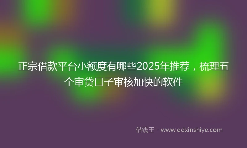 正宗借款平台小额度有哪些2025年推荐，梳理五个审贷口子审核加快的软件