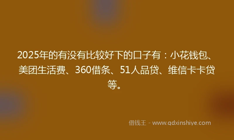 2025年的有没有比较好下的口子有：小花钱包、美团生活费、360借条、51人品贷、维信卡卡贷等。